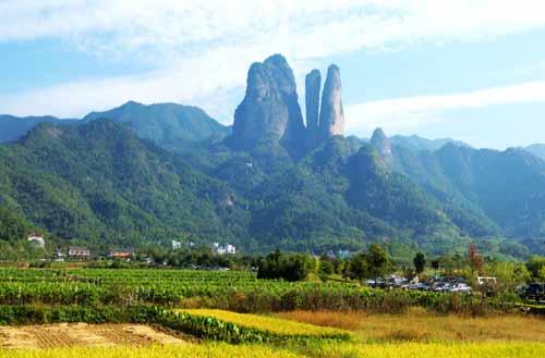 網(wǎng)站建設的最佳時機選擇(圖1)